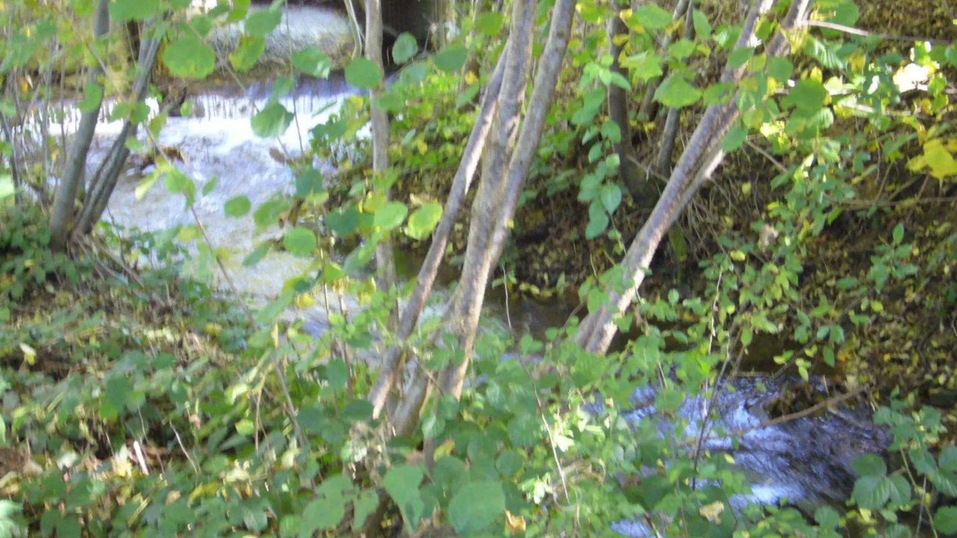 Maison Familiale Avec Jardin Clos, Cheminee, Animaux Acceptes Et Internet A Ferrieres-Sur-Sichon - Fr-1-489-552 度假居