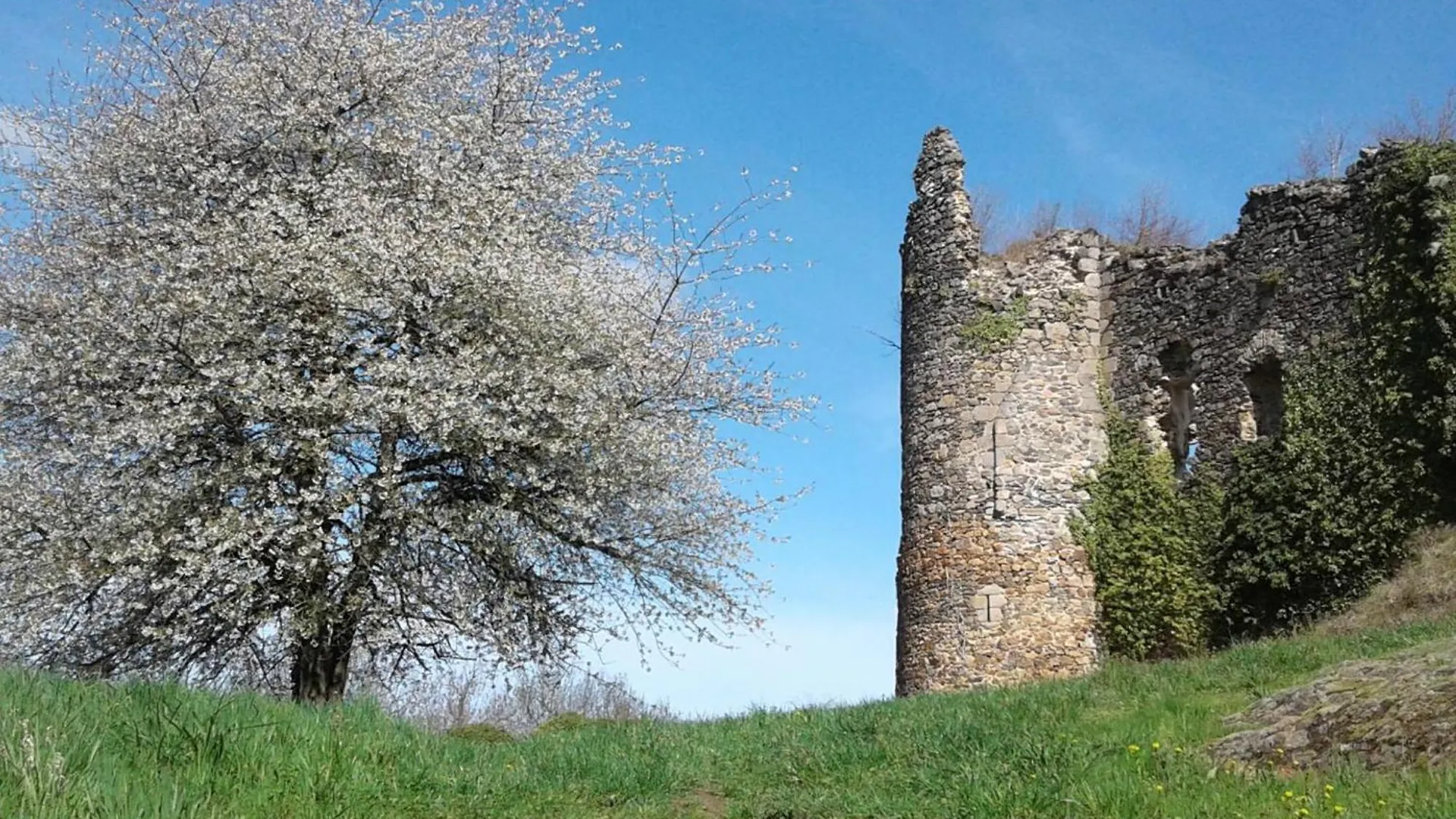 Feriehus Maison Familiale Avec Jardin Clos, Cheminee, Animaux Acceptes Et Internet A Ferrieres-Sur-Sichon - Fr-1-489-552