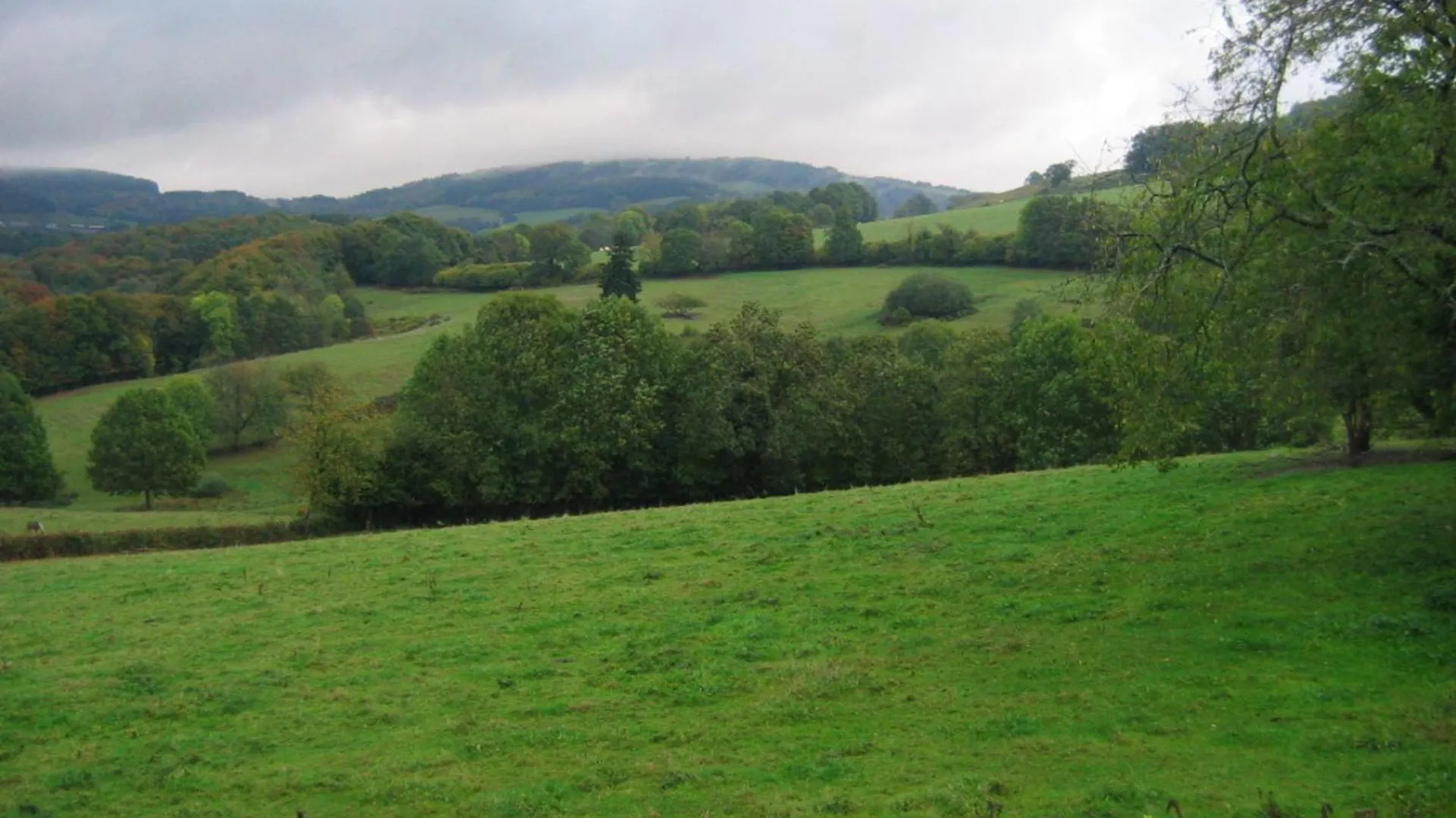 度假居 Maison Familiale Avec Jardin Clos, Cheminee, Animaux Acceptes Et Internet A Ferrieres-Sur-Sichon - Fr-1-489-552