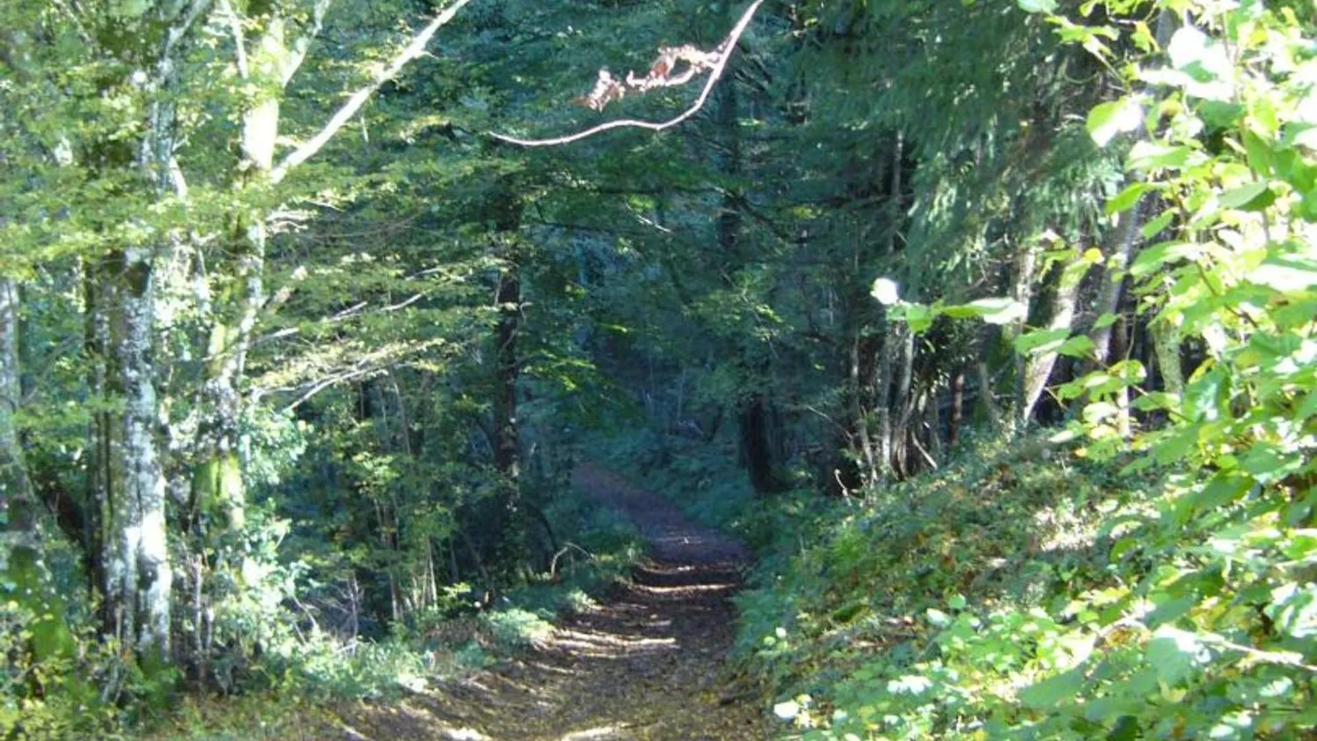 Maison Familiale Avec Jardin Clos, Cheminee, Animaux Acceptes Et Internet A Ferrieres-Sur-Sichon - Fr-1-489-552 度假居
