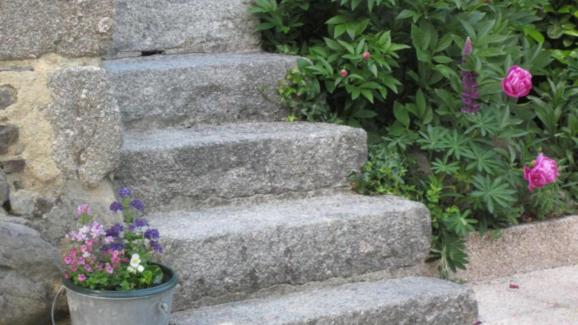 Maison Familiale Avec Jardin Clos, Cheminee, Animaux Acceptes Et Internet A Ferrieres-Sur-Sichon - Fr-1-489-552