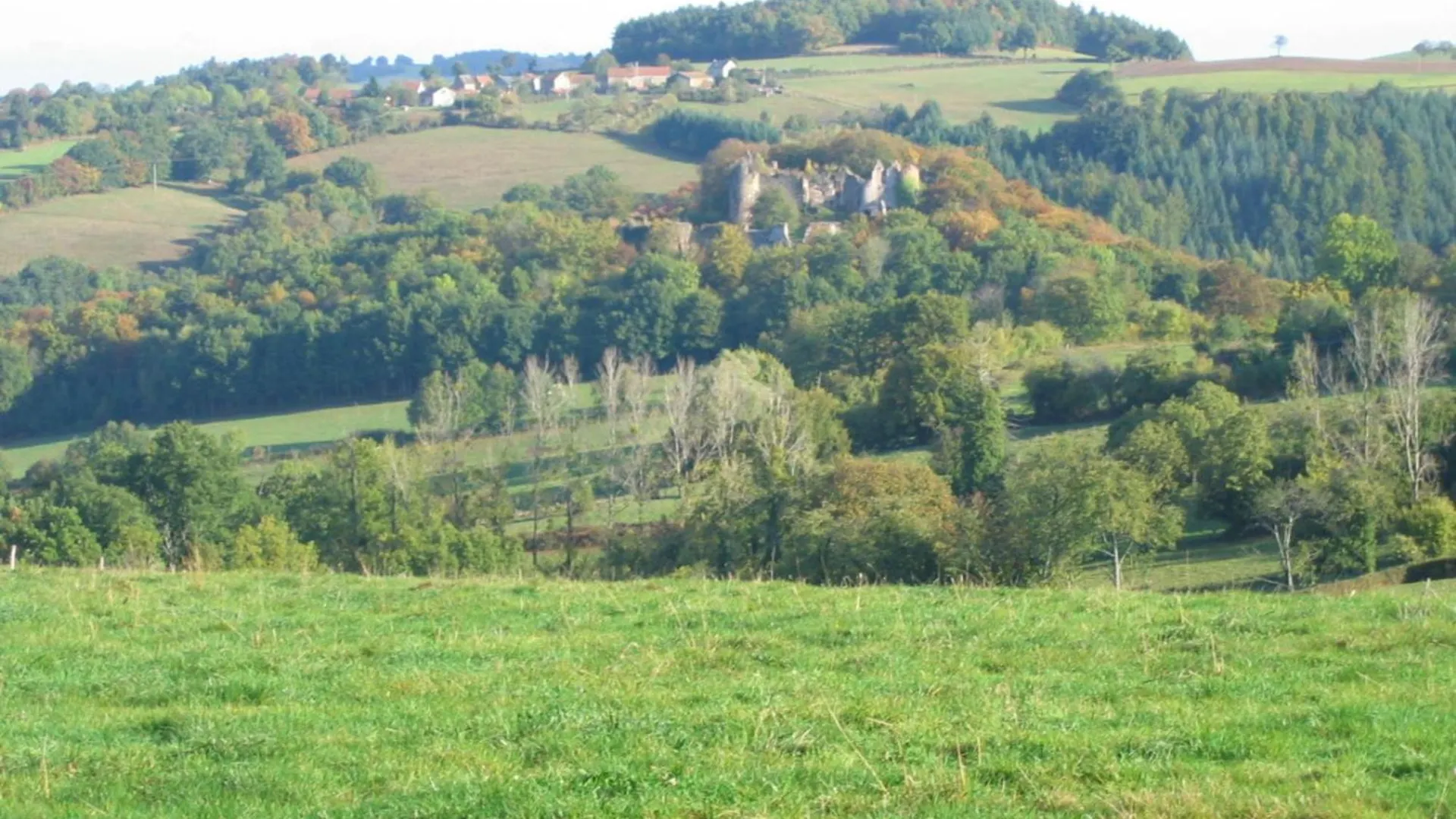 Maison Familiale Avec Jardin Clos, Cheminee, Animaux Acceptes Et Internet A Ferrieres-Sur-Sichon - Fr-1-489-552