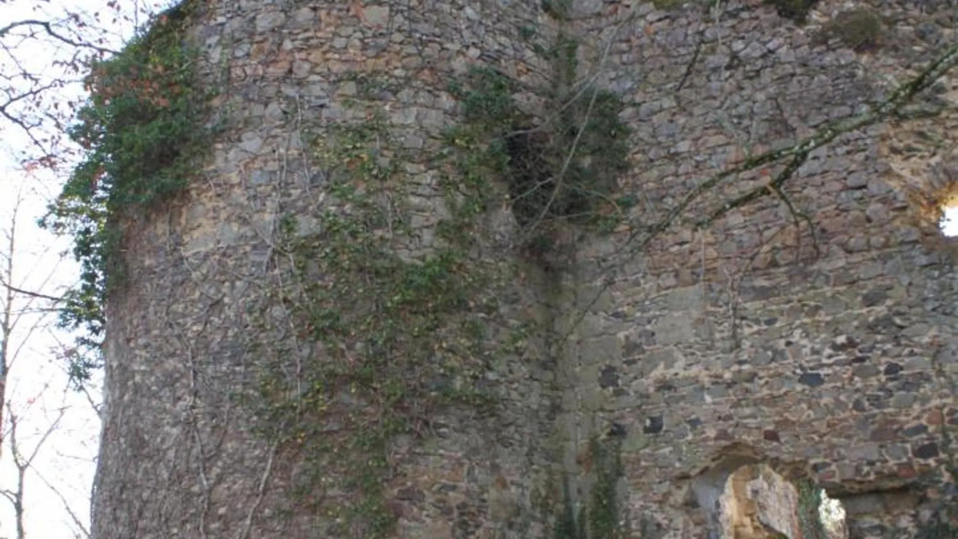 Maison Familiale Avec Jardin Clos, Cheminee, Animaux Acceptes Et Internet A Ferrieres-Sur-Sichon - Fr-1-489-552 Frankrig